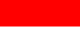 INA flag